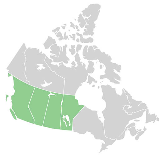 Western-Canadian-Solar